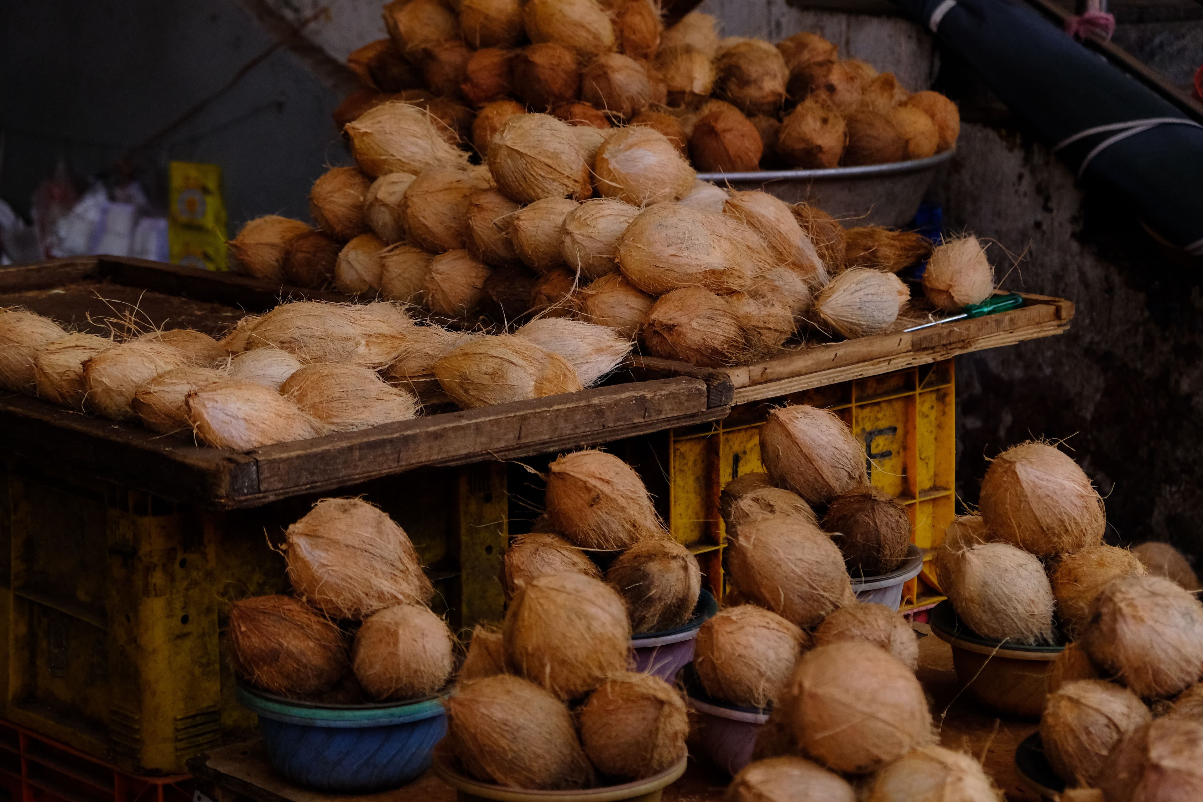Coconut