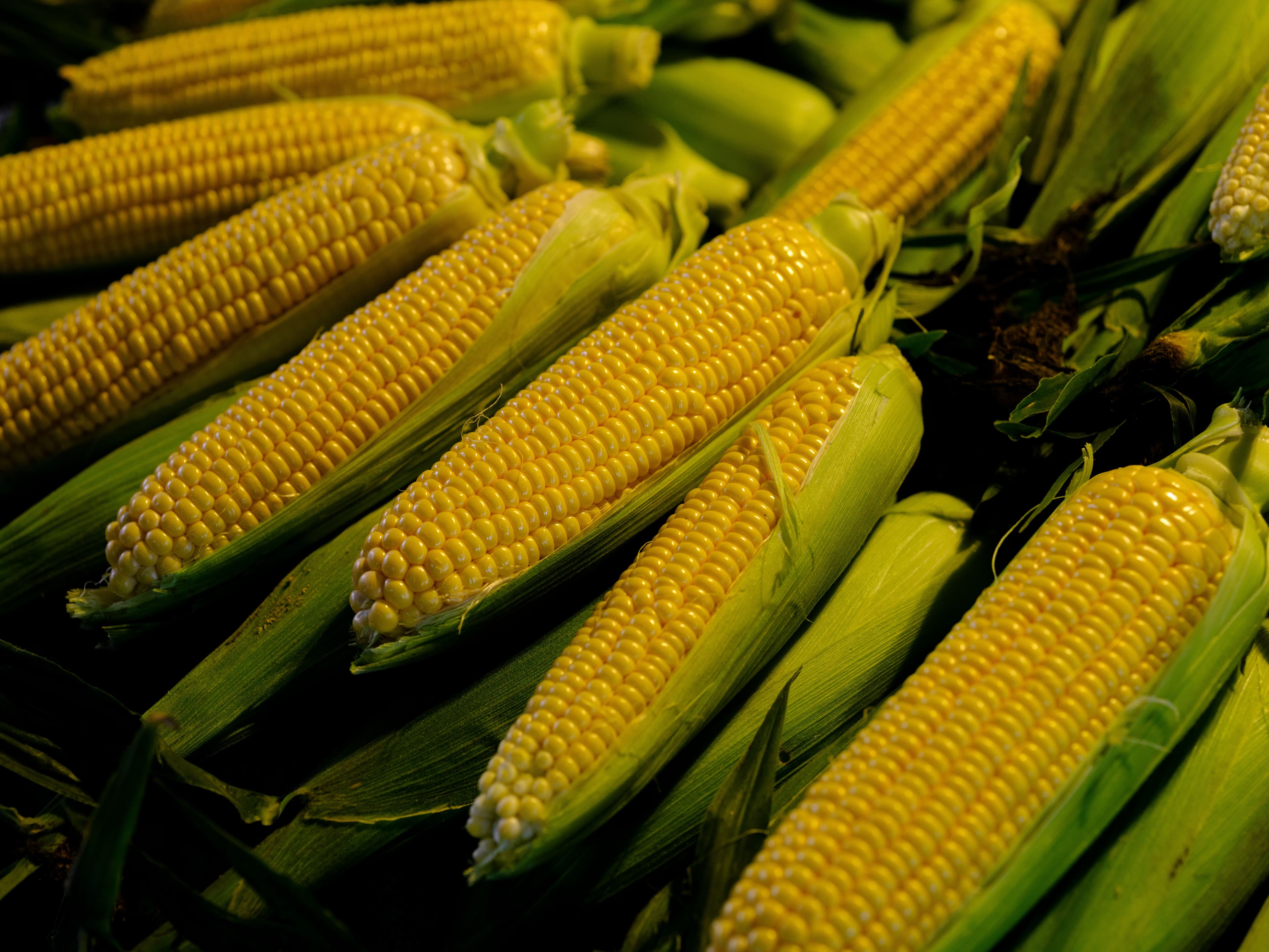 Corn